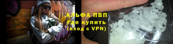 СК Инта