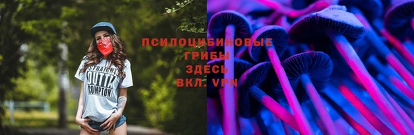 mix Инсар